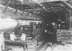 昭和初期の工場内部（写真：アサヒビール）