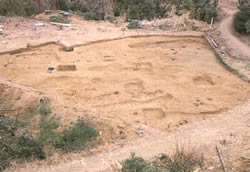 写真：蓮源寺遺跡の発掘区