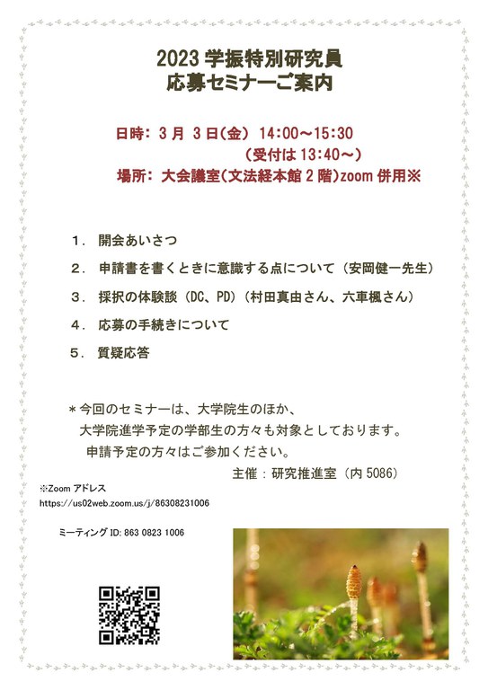 若手研究者セミナーポスター（2023-3-3).jpg