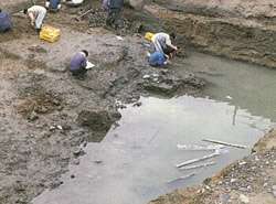 栄根遺跡の自然河川